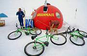 greenpeacecycles.jpg